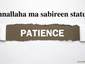 Innallaha ma sabireen status meaning in Urdu with images