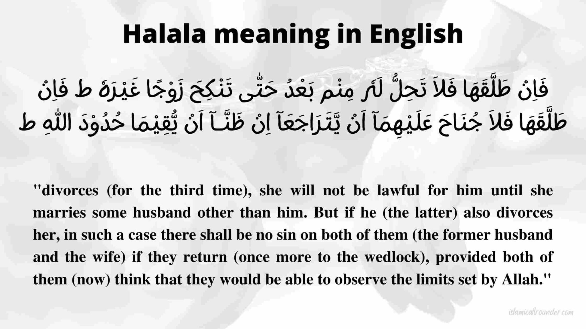 logic-of-halala-in-islam-with-meaning-in-english-islamicallrounder