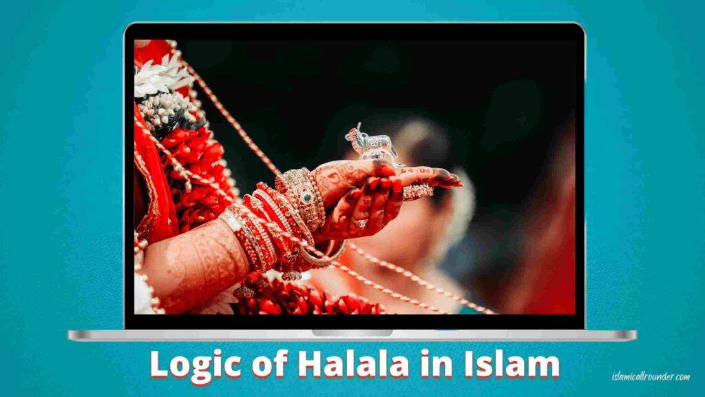 logic-of-halala-in-islam-with-meaning-in-english-islamicallrounder