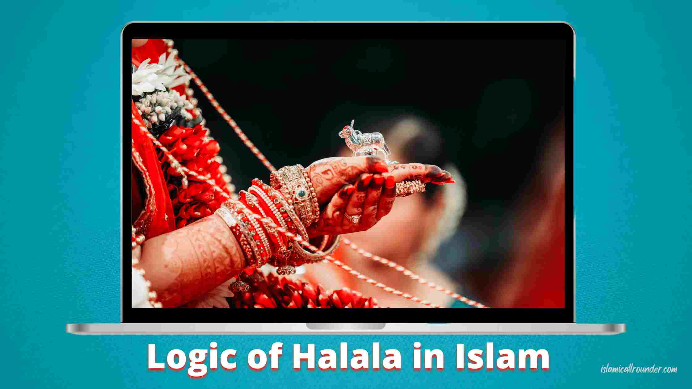 Logic of Halala in Islam picture