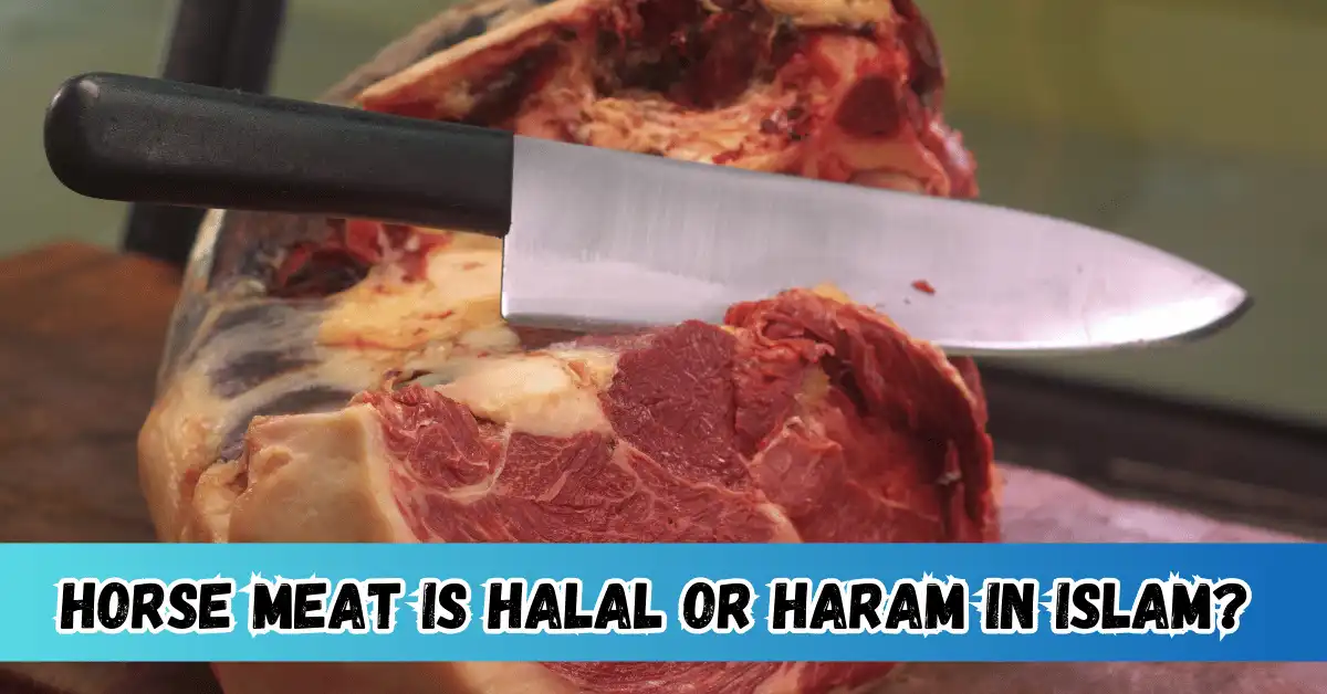 Horse meat is Halal or Haram in islam