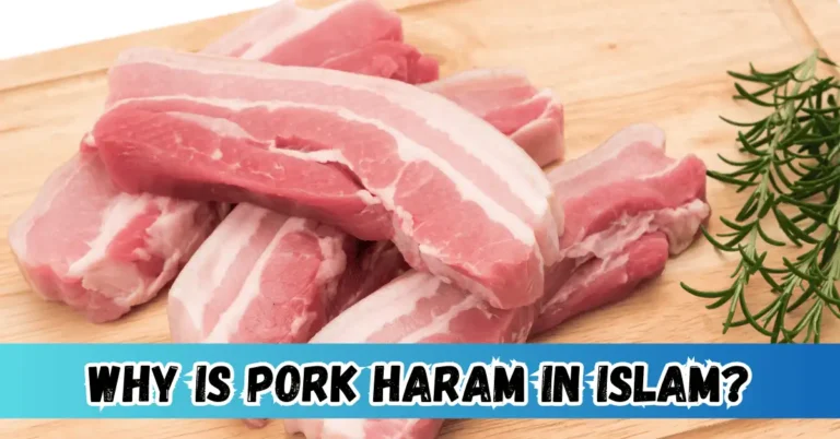 Why is Pork Haram in islam Complete Guide